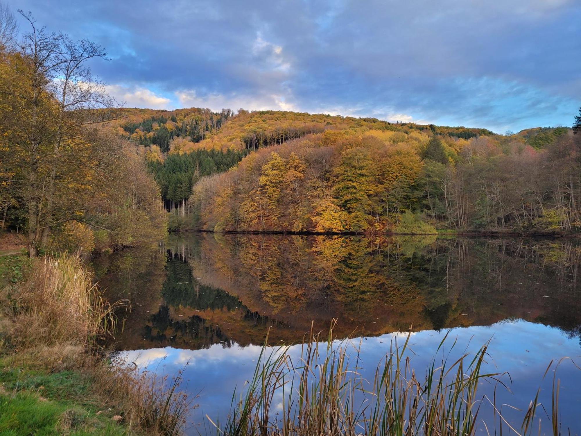 Le Lac Des Moines Condat  Luaran gambar
