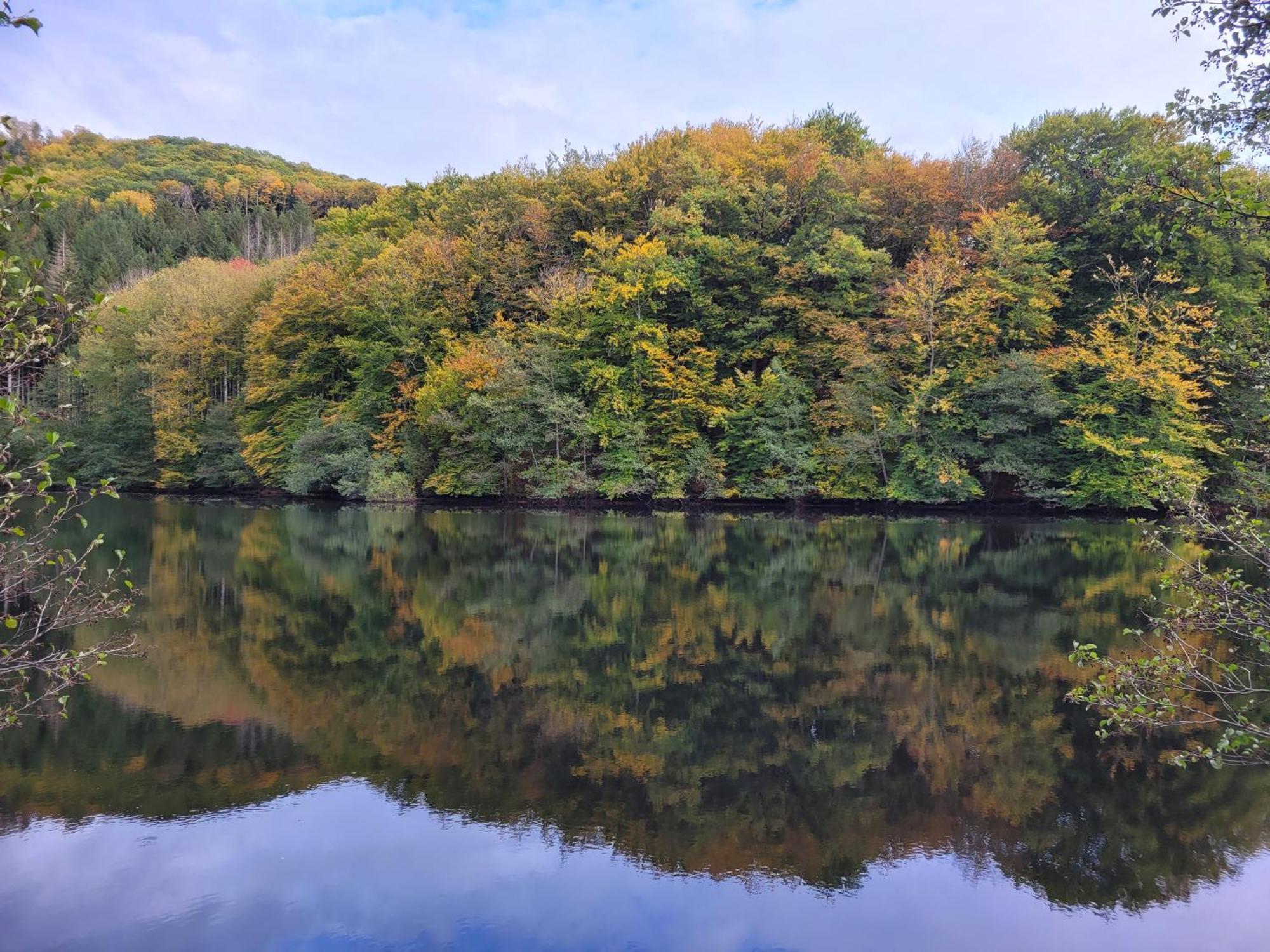 Le Lac Des Moines Condat  Luaran gambar